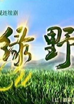 电视剧：进击的大江湖